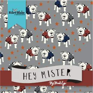 Hey Mister